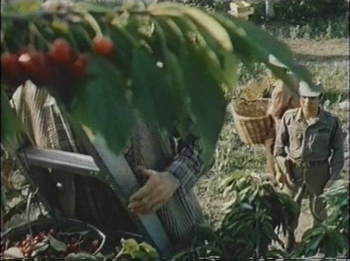 Кадр из фильма Падение кондора (1982)