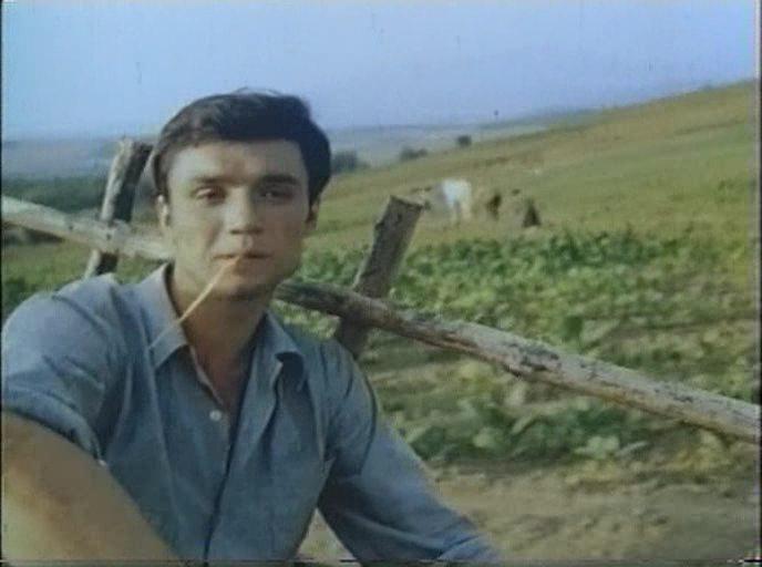 Кадр из фильма Падение кондора (1982)