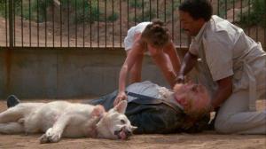 Кадры из фильма Белая собака / White Dog (1982)