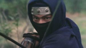 Кадры из фильма Ниндзя в логове дракона / Long zhi ren zhe (1982)