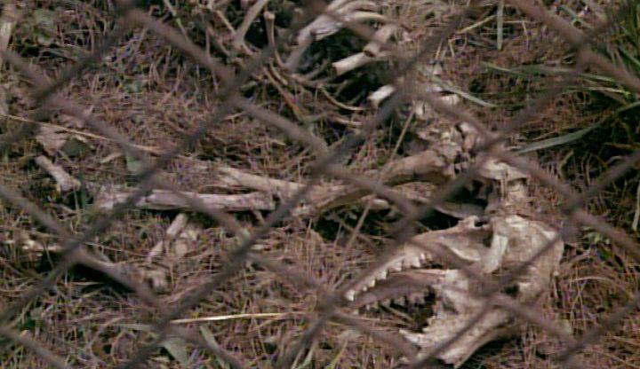 Кадр из фильма Выродок / Humongous (1982)