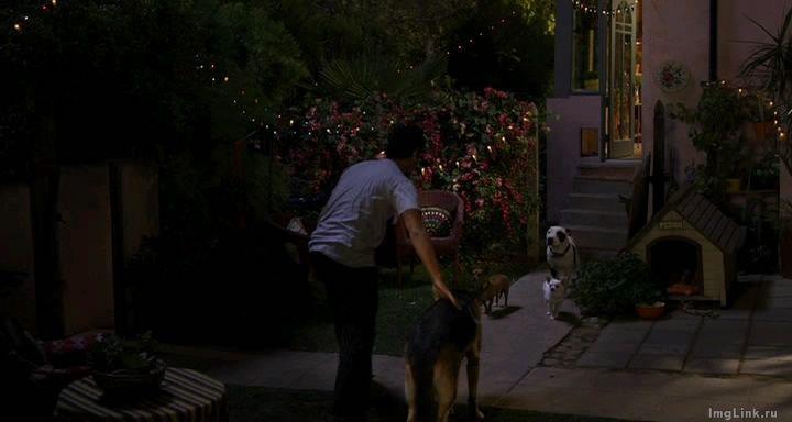 Кадр из фильма Крошка из Беверли-Хиллз 2 / Beverly Hills Chihuahua 2 (2011)