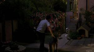 Кадры из фильма Крошка из Беверли-Хиллз 2 / Beverly Hills Chihuahua 2 (2011)