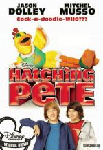 Пит в перьях / Hatching Pete (2010)