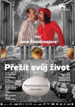 Пережить Свою Жизнь / Prezít svuj zivot (teorie a praxe) (2010)