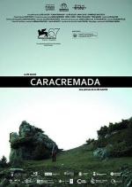 Обожженное лицо / Caracremada (2010)