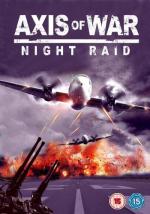 Ось войны: Ночной рейд / Axis of War: Night Raid (2010)