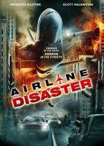 Катастрофа на авиалинии / Airline Disaster (2010)