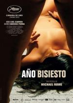 Високосный год / Año bisiesto (2010)
