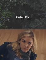 Отличный план / Perfect Plan (2010)