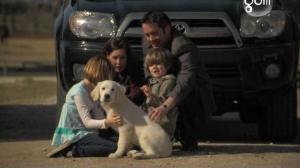 Кадры из фильма Приключения Бэйли: Потерянный щенок / Adventures of Bailey: The Lost Puppy (2010)