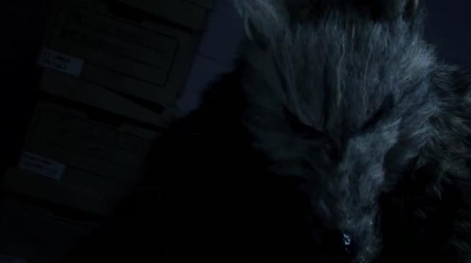 Кадр из фильма Человек покрытый шерстью / The Furred Man (2010)