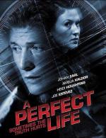 Идеальная жизнь / A Perfect Life (2010)