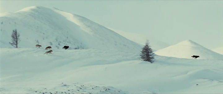 Кадр из фильма Волк / Sea Wolf (2009)