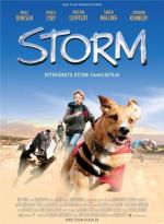 Шторм / The Storm (2009)