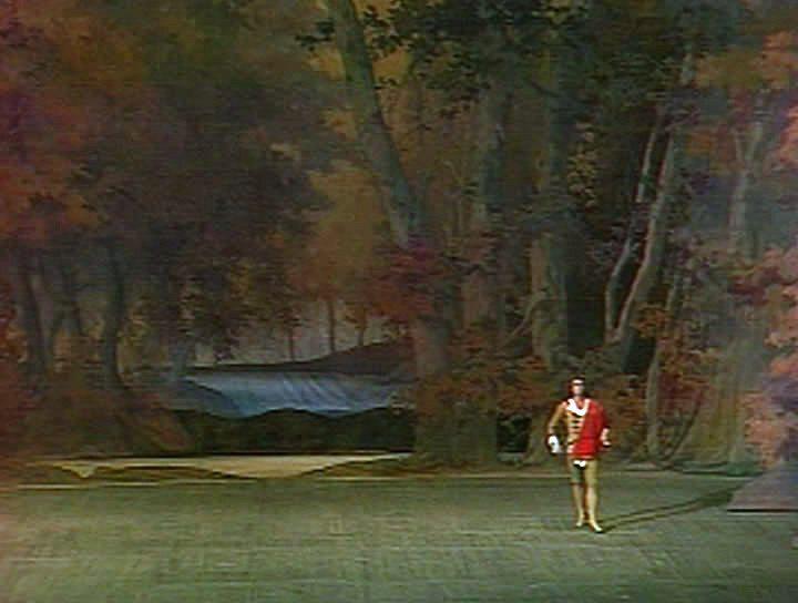 Кадр из фильма Пётр Чайковский - Спящая красавица (1983)