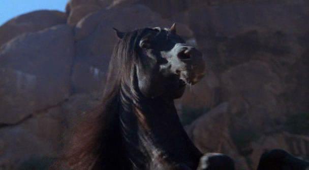 Кадр из фильма Возвращение черного скакуна / The Black Stallion Returns (1983)