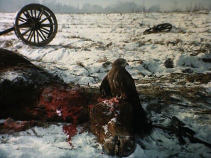 Кадр из фильма Волчица / Wilczyca (1983)