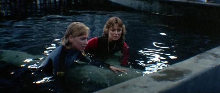 Кадр из фильма Челюсти 3 / Jaws 3-D (1983)