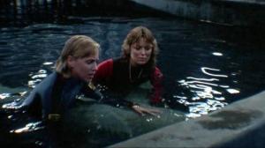 Кадры из фильма Челюсти 3 / Jaws 3-D (1983)