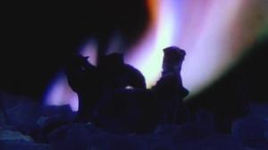 Кадры из фильма Антарктическая повесть / Nankyoku monogatari (1983)