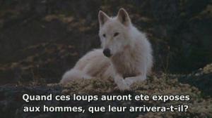 Кадры из фильма Не кричи «Волки!» / Never Cry Wolf (1983)