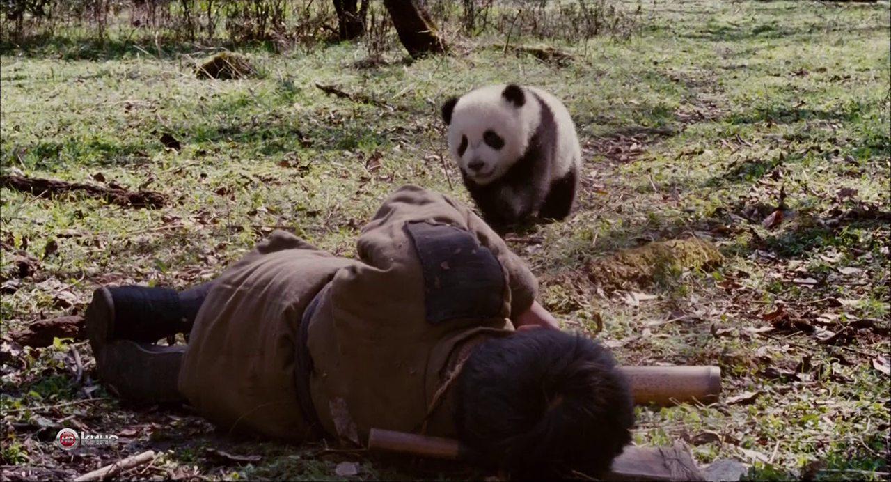 Кадр из фильма След панды / Xiong mao hui jia lu (2009)