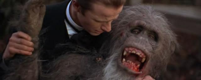 Кадр из фильма Грейстоук: Легенда о Тарзане, повелителе обезьян / Greystoke: The Legend of Tarzan, Lord of the Apes (1984)