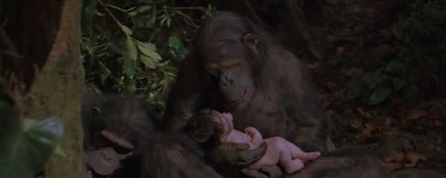 Кадр из фильма Грейстоук: Легенда о Тарзане, повелителе обезьян / Greystoke: The Legend of Tarzan, Lord of the Apes (1984)