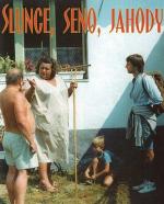 Экспериментатор / Slunce, seno, jahody (1984)
