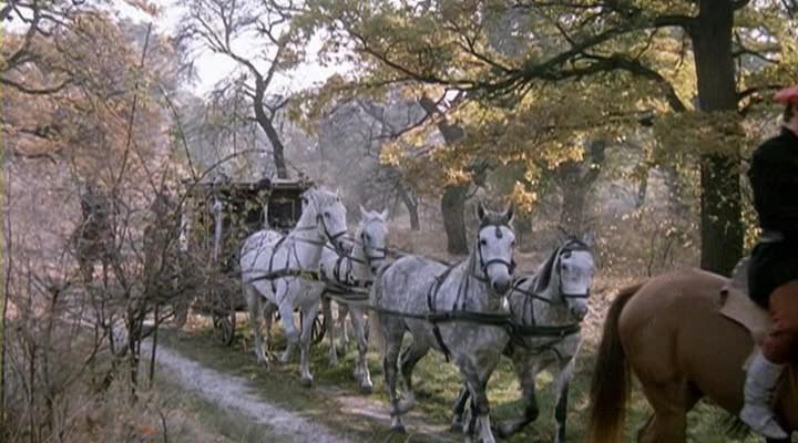 Кадр из фильма Король Дроздовик / Král Drozdia Brada (1984)