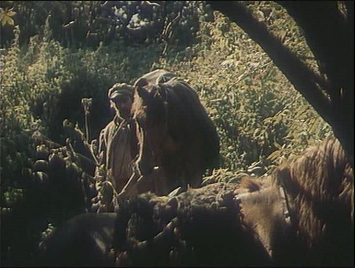 Кадр из фильма В стреляющей глуши (1985)