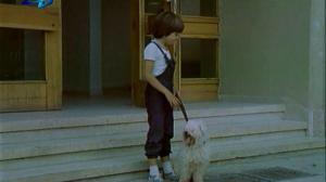 Кадры из фильма Муж для мамы / Tarsi se saprug za mama (1985)