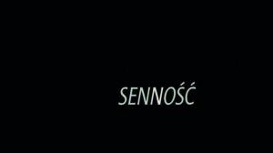 Кадры из фильма Сонливость / Sennosc (2008)
