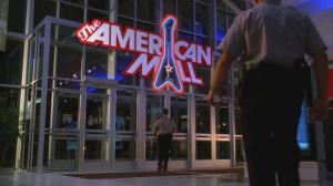 Кадры из фильма Американская аллея / The American Mall (2008)