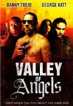 Долина ангелов / Valley of Angels (2008)
