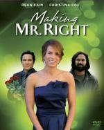 Создать мистера Совершенство / Making Mr. Right (2008)