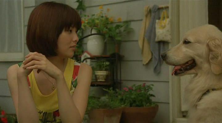 Кадр из фильма 10 обещаний моей собаке / Inu to watashi no 10 no yakusoku (2008)