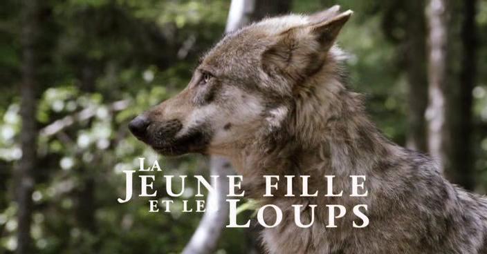 Кадр из фильма Девушка и волки / La jeune fille et les loups (2008)