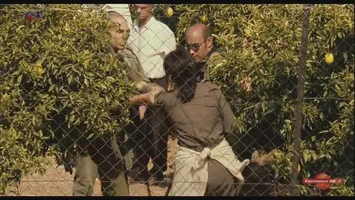 Кадр из фильма Лимонное дерево / Etz Limon (2008)