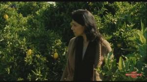 Кадры из фильма Лимонное дерево / Etz Limon (2008)