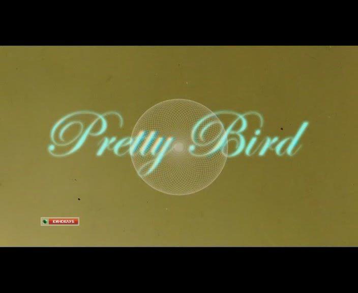 Кадр из фильма Пташка / Pretty Bird (2008)