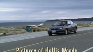 Кадры из фильма Картинки Холлис Вудc / Pictures of Hollis Woods (2007)