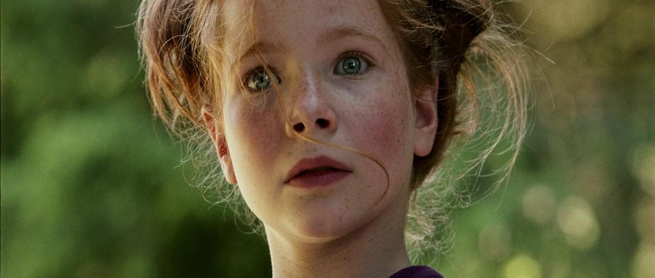 Кадр из фильма Девочка и лисенок / Le renard et l'enfant (2007)