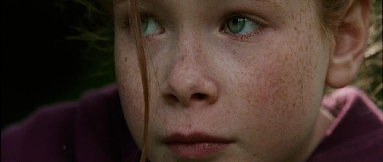 Кадр из фильма Девочка и лисенок / Le renard et l'enfant (2007)