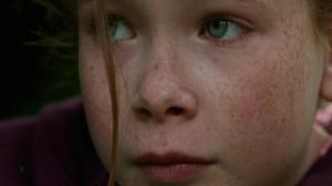 Кадры из фильма Девочка и лисенок / Le renard et l'enfant (2007)