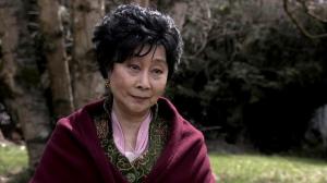 Кадры из фильма Китайские похороны / Dim Sum Funeral (2009)