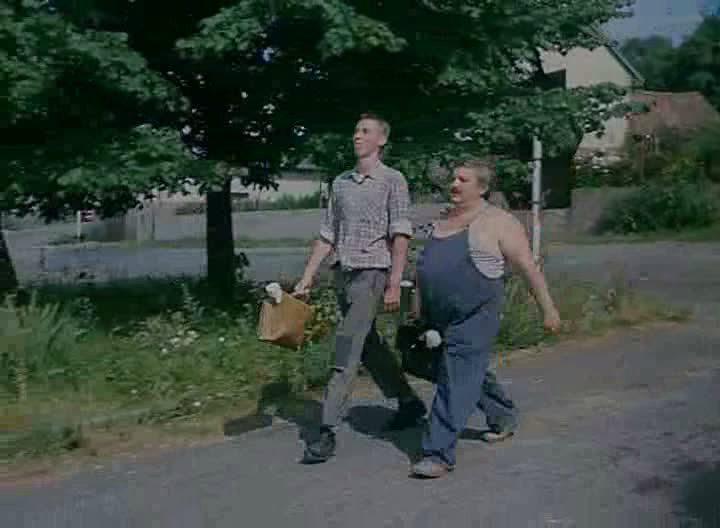Кадр из фильма Деревенька моя центральная / Vesnicko má stredisková (1985)