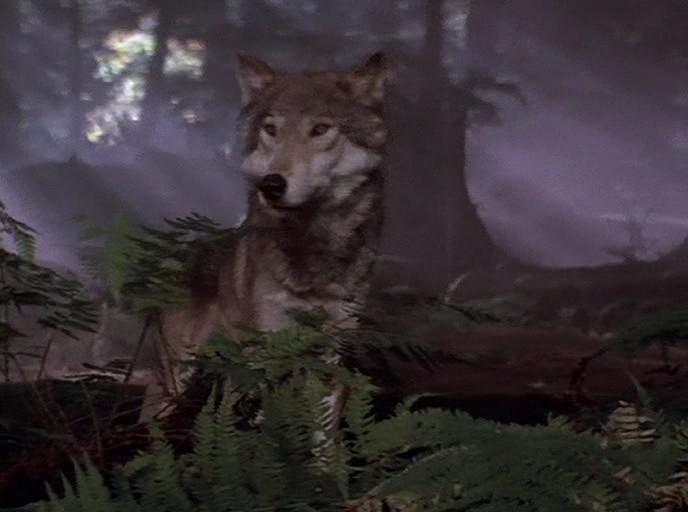 Кадр из фильма Клан Пещерного Медведя / The Clan of the Cave Bear (1986)