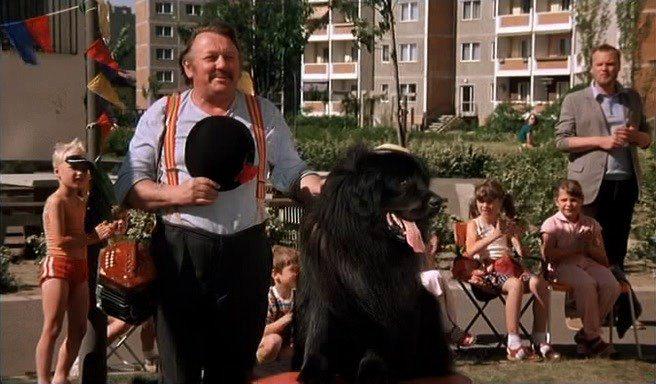 Кадр из фильма Мальчик с большой чёрной собакой / Der Junge mit dem großen schwarzen Hund (1986)